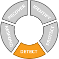 Icon representing the Detect function of the NIST Cybersecurity Framework