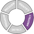 Icon representing the Protect function of the NIST Cybersecurity Framework